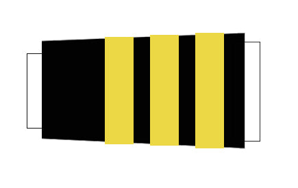 Chief Officer
